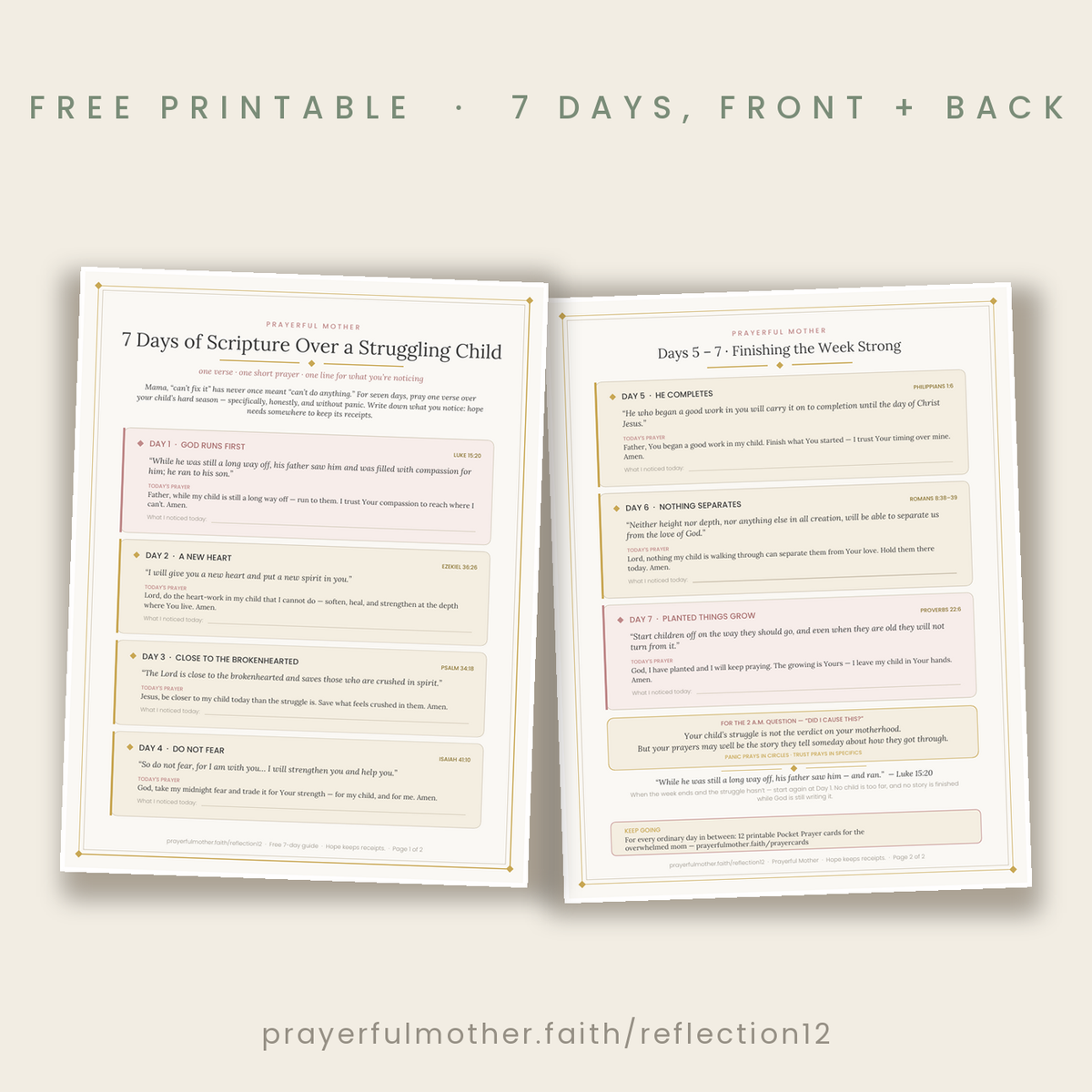 Preview — 7 days of scripture guide, front and back